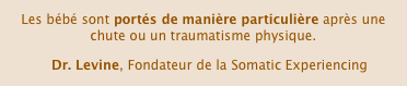 Les bébé sont portés de manière particulière après une chute ou un traumatisme physique.
   Dr. Levine, Fondateur de la Somatic Experiencing
B. Feldman, Praticien et formateur SE