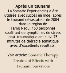 Après un tsunami 
La Somatic Experiencing a été utilisée avec succès en Inde, après le tsunami dévastateur de 2004 dans la région de 
Tamil Nadu; 150 personnes souffrant de symptômes de stress post-traumatique ont suivi 75 minutes de thérapie somatique avec d’excellents résultats.

Voir article: Somatic Therapy Treatment Effects with 
Tsunami Survivors

